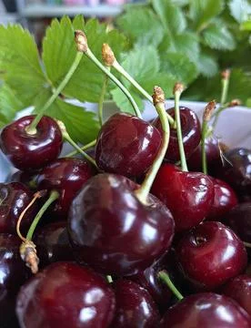 Fantastic Cherry World Fotos Stock