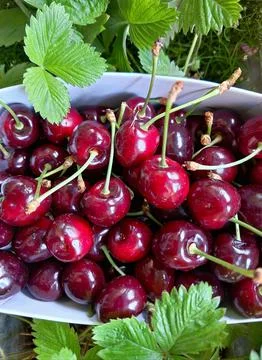 Fantastic Cherry World Stock Photos