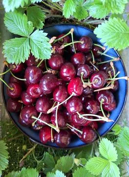 Fantastic Cherry World Stock Photos