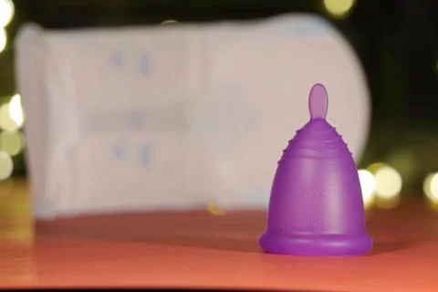 Fantastic Dramatic Bright sunset over the old town through the branches of tr Foto stock