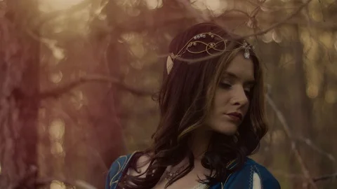 Fantastic elf in the forest. Stock Footage 92214417