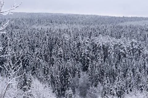 Fantastic evening winter landscape. Dramatic overcast sky Creative collage Be Stock Photos