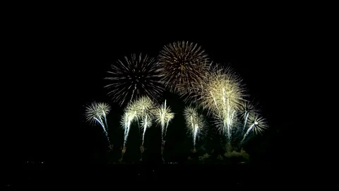 Fantastic firework in sky on new year celebration Vídeo Stock 158869015