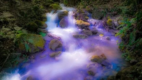 Fantastic flow of water of the mountain stream. Stock-Footage 87537171