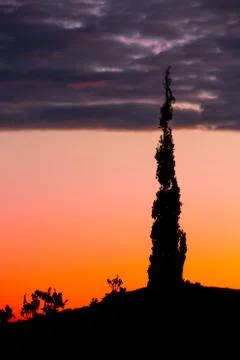 Fantastic gradient sundown cloudscape, silhouette of mountain and cypress Stock Photos