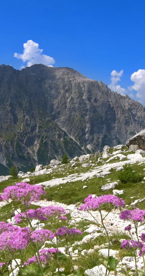 Fantastic landscape on the Alimonta Dolomites  Stock Footage 346816397