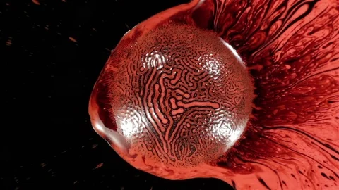 Fantastic patterns and shapes. Ferrofluid and paint. Close-up Stock Footage