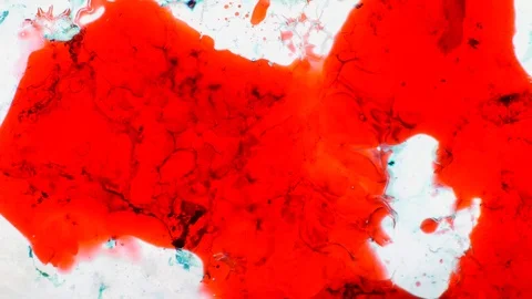 Fantastic patterns of paints 스톡 동영상 101130026