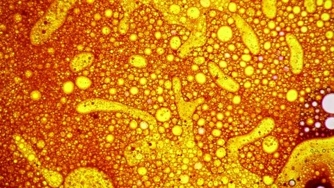 Fantastic structure of bubbles. Abstract paint reactions. Bubble flow expansion. Stock Footage 122039068