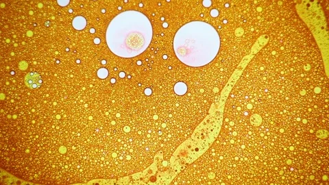 Fantastic structure of bubbles. Abstract paint reactions. Bubble flow expansion. Stock Footage 122051743