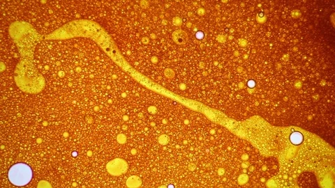 Fantastic structure of bubbles. Abstract paint reactions. Bubble flow expansion. Stock Footage 122051958