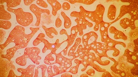 Fantastic structure of bubbles. Abstract paint reactions. Bubble flow expansion. Stock Footage 122052111