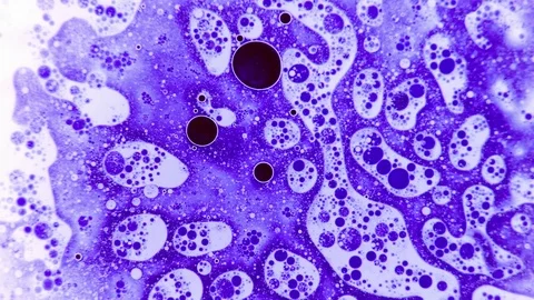 Fantastic structure of bubbles. Abstract paint reactions. Bubble flow expansion. Stockbeeldmateriaal 123831746