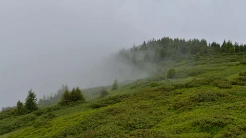 Fantastic summer landscape Stock Footage 82036004