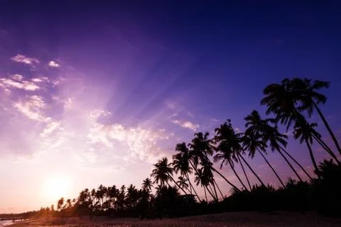 Fantastic sunset on the beach Stock Photos