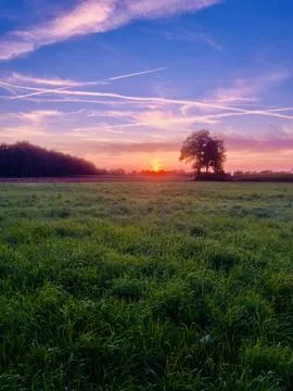 Fantastic sunset in the field Foto stock