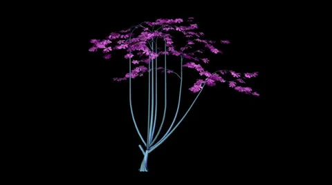 Fantastic tree Stock Footage 23001136