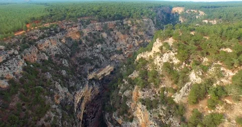 Fantastic Valley Landscape in Pine Forest Aerial Shot Stock Footage 147069480