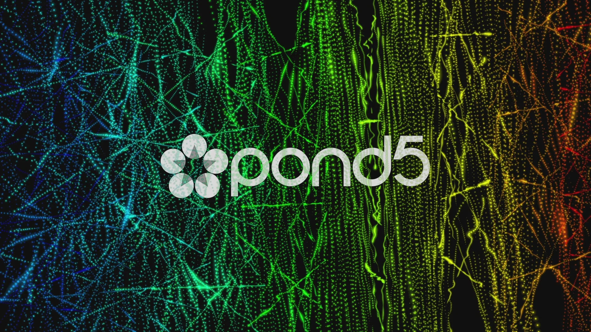 Trevor Marsicano Girlfriend