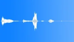 Fantastic Voice EffectSound Effect