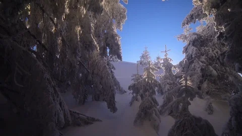 Fantastic winter landscape Stock Footage 81801603