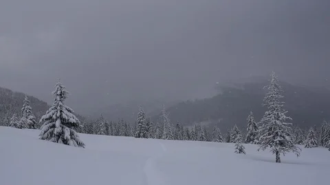 Fantastic winter landscape Stock Footage 89837812