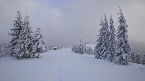 Fantastic winter landscape Stock Footage 100258157