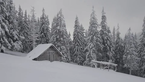 Fantastic winter landscape with snowy trees 스톡 동영상 82037381