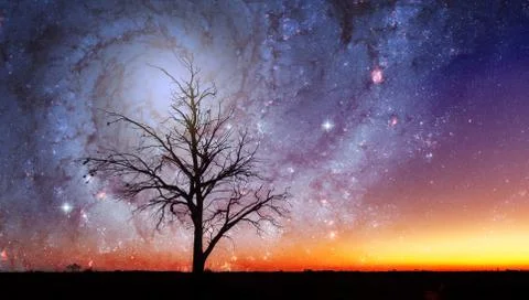Fantasy alien landscape with lone tree and galaxy vortex Foto stock