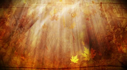 Fantasy autumn foliage background loop Stock Footage 54791559