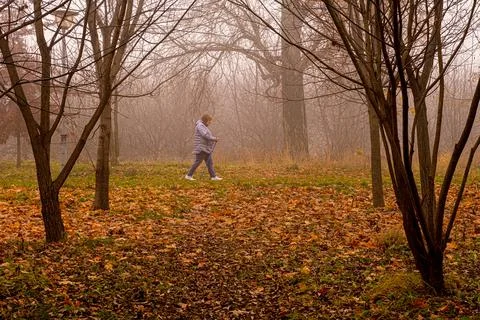 Fantasy autumn in the forest Stock Photos