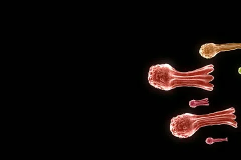 Fantasy bacterium Stock Footage 11357411