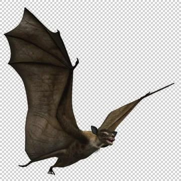 Fantasy Bat - III - Close Flying - Alpha Channel Stock Illustration