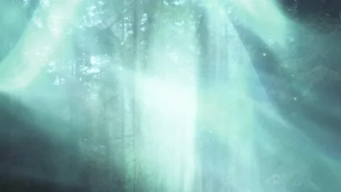 Fantasy blurred woods with misty light and fireflies Vídeo Stock 228085798