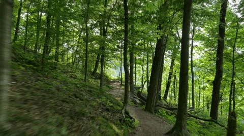 Fantasy Cinematic Moving Through Beautiful Forest to Overlook Stock Footage 63178773