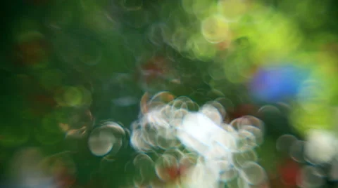 Fantasy colored bubbles of defocused sunlit cars, moving behind green foliage Stock Footage 58453482