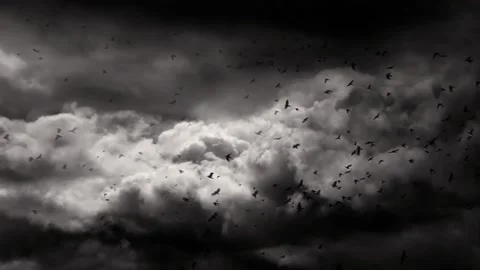 Fantasy composition shows a dramatic storm clouds sky and many black crows Stock Footage 160668319