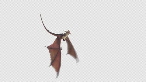 Fantasy Dragon Fly Animation Loop with Alpha Front Top View Stock Footage 276326295