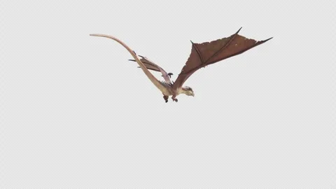 Fantasy Dragon Fly Animation Loop with Alpha Back View Stock Footage 276326301