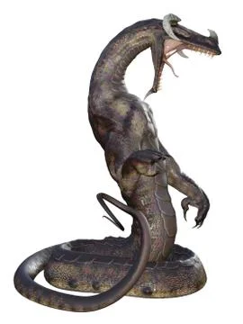 Fantasy dragon illustration Stock Illustration