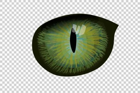 Fantasy eye. Iris pupils design. Cat or snake eyes. Colorful png illustration Stock Illustration