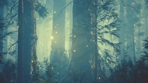 Fantasy firefly lights in the magical forest Stock Footage 171120936