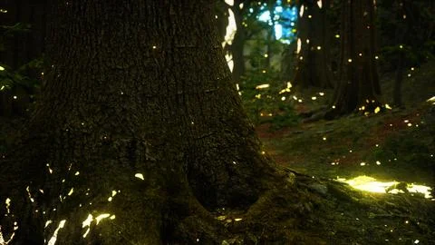 Fantasy firefly lights in the magical forest Stock Illustration