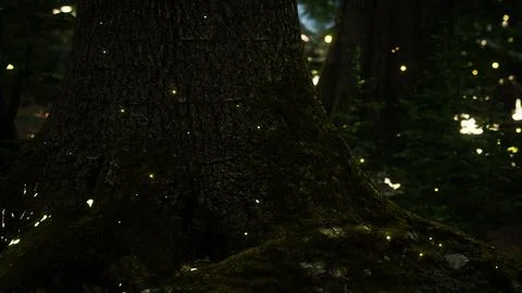 Fantasy firefly lights in the magical forest Stock Illustration