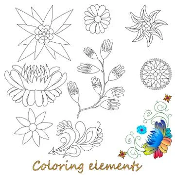 Fantasy flower elements illustration set on white isolated. Vector image. Col Illustrazione stock
