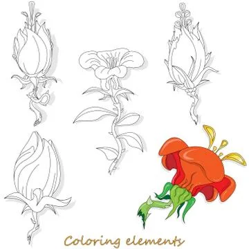 Fantasy flower elements illustration set on white isolated. Vector image. Col Stock Illustration