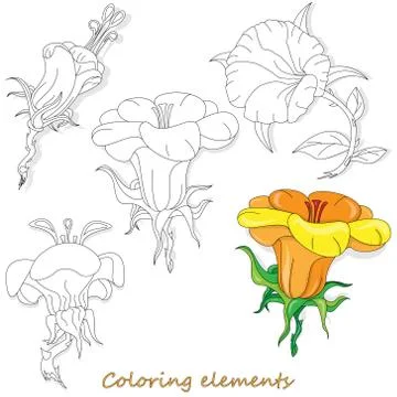 Fantasy flower elements illustration set on white isolated. Vector image. Col Illustrazione stock