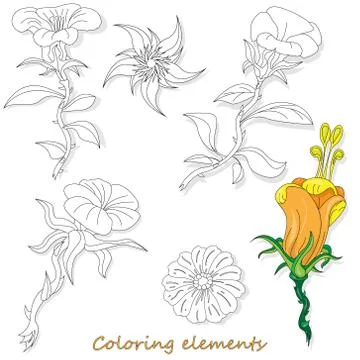 Fantasy flower elements illustration set on white isolated. Vector image. Col 스톡 일러스트