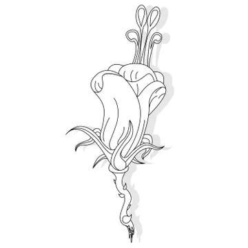 Fantasy flower illustration set on white Stock Illustration