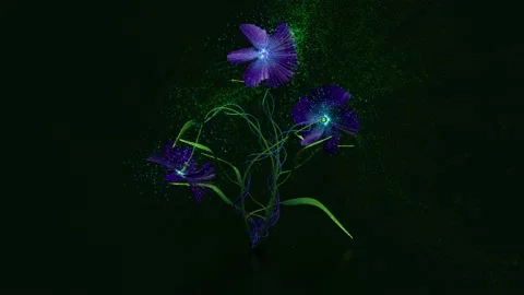 Fantasy flowers Stock Footage 101221805